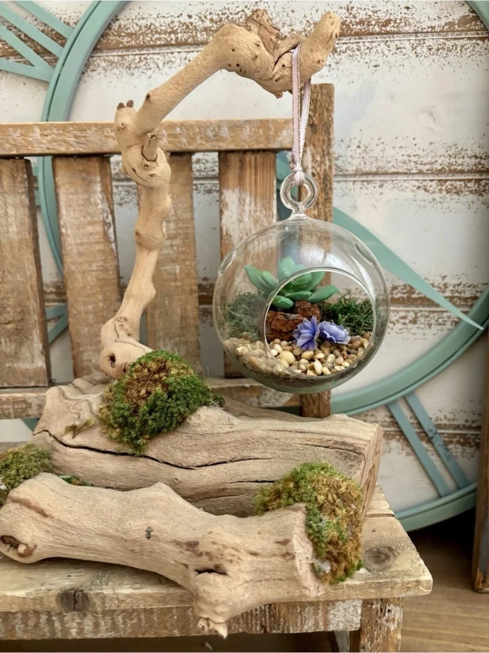 Natural Driftwood Root with Moss Aquarium Decoration NEW!